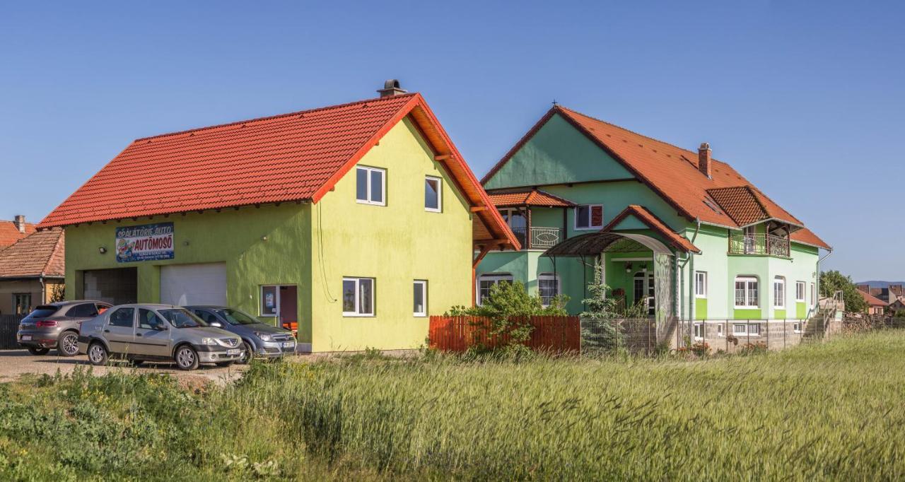 Bed and Breakfast Szasz&Szasz Panzio Ґеорґень Екстер'єр фото