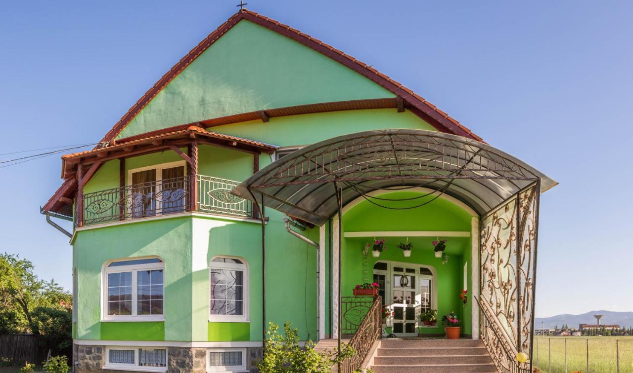 Bed and Breakfast Szasz&Szasz Panzio Ґеорґень Екстер'єр фото