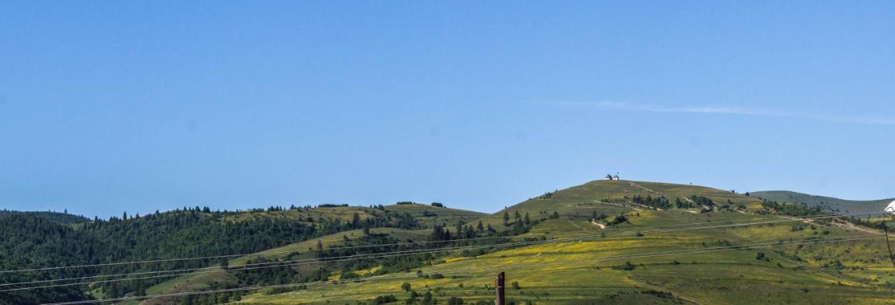 Bed and Breakfast Szasz&Szasz Panzio Ґеорґень Екстер'єр фото